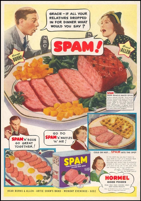 История появления термина спам