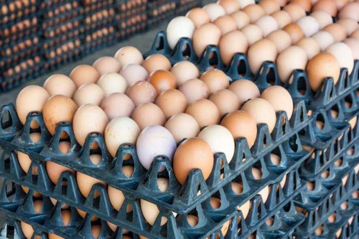 Сколько можно хранить куриные яйца в холодильнике