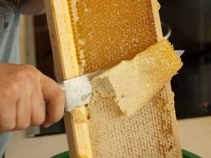Можно ли есть с мёдом и пчелиный воск