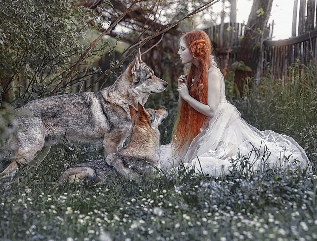 Прекрасные лесные феи из волшебных миров от Агнежки Лорек