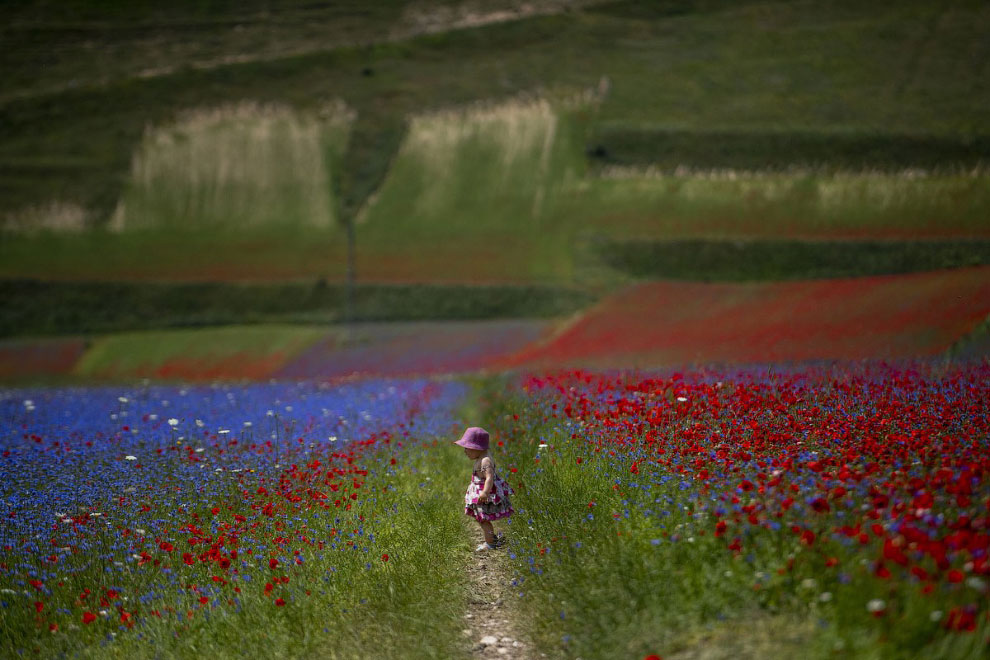 Кастеллуччо - прогулка по разноцветной долине Италии