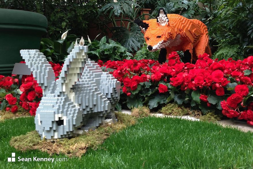 В зоопарке Сан-Антонио выставили копии диких животных из LEGO