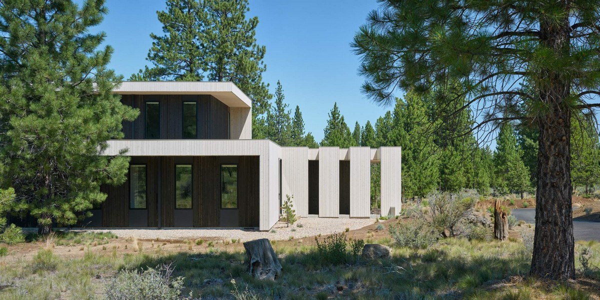Семейный дом с видом на сосновый лес в США