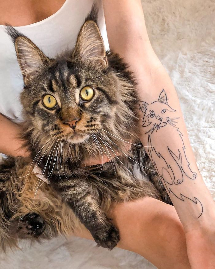 Разные крутые татуировки с котиками