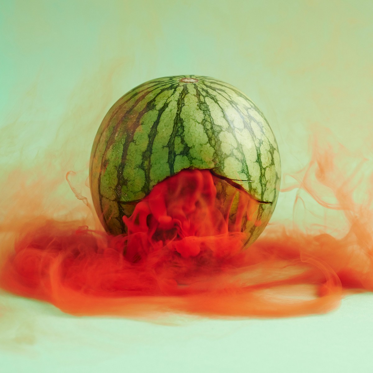 Тайная жизнь фруктов и овощей на снимках Мацека Ясика