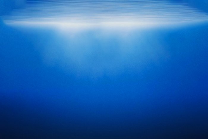 Сколько всё-таки всего океанов у Земли?