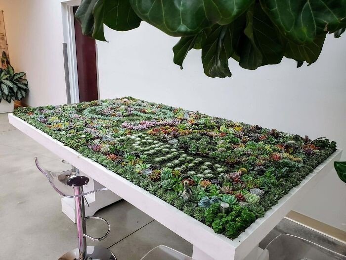 Суккуленты помогли превратить столы в пышные зеленые сады