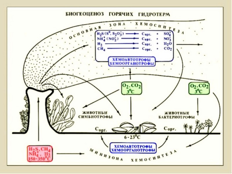 Научные открытия, сделанные российскими и советскими учеными