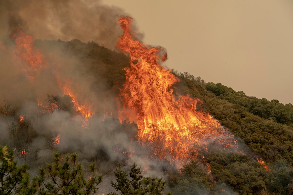 Сан Франциско Лесные пожары
