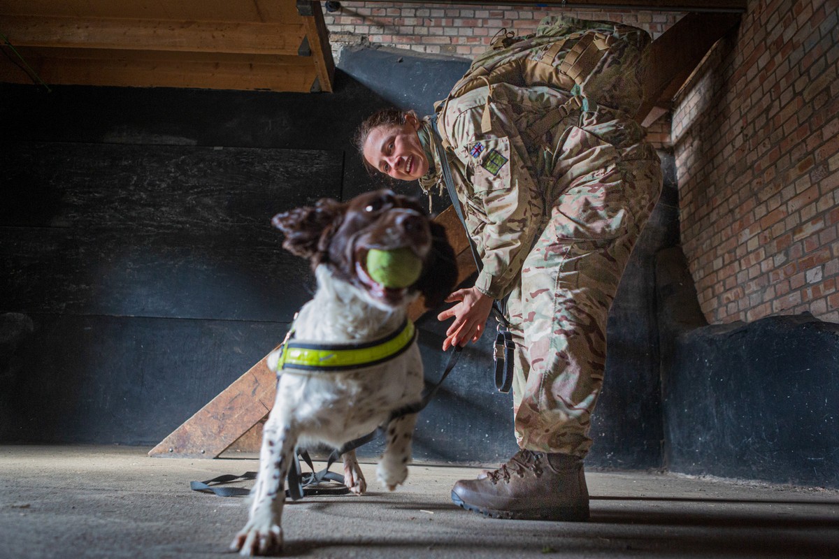 Лучшие снимки с конкурса британской армейской фотографии