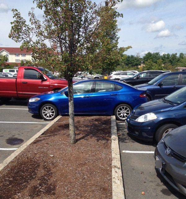 Не всем подвластно мастерство парковки