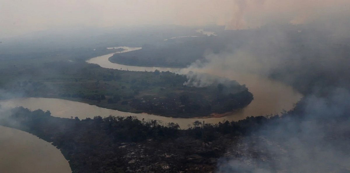 Как пожары в Пантанале разрушают среду обитания редких видов животных