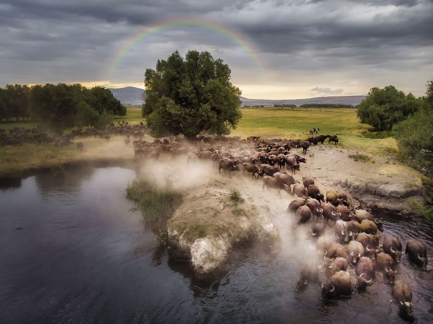 Лучшие фотографии с дронов 2020 года