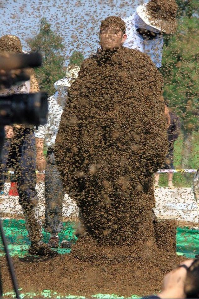Китаец установил мировой рекорд, став местом отдыха для невероятного количества пчел