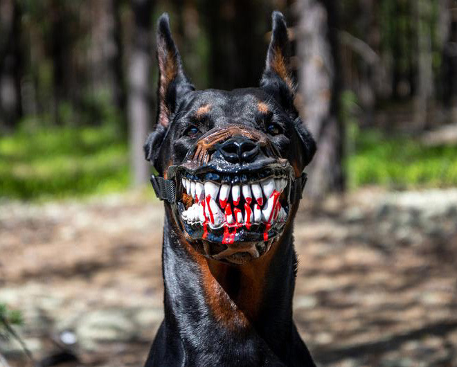 Жутковатый намордник для собак на Хэллоуин
