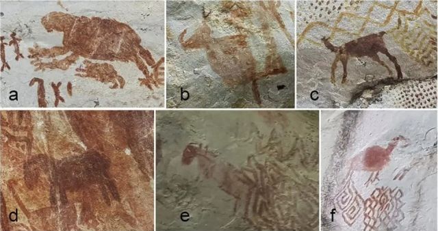 В Колумбии нашли 13-километровую стену из древних рисунков