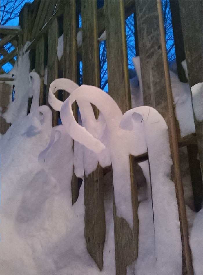 Зима создаёт настоящие произведения искусства
