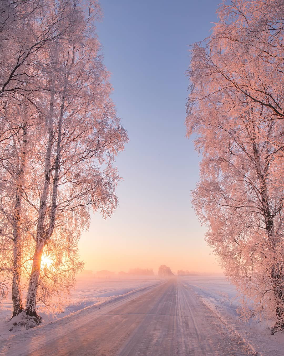 Зимняя природа Финляндии на снимках Юкка Рисикко