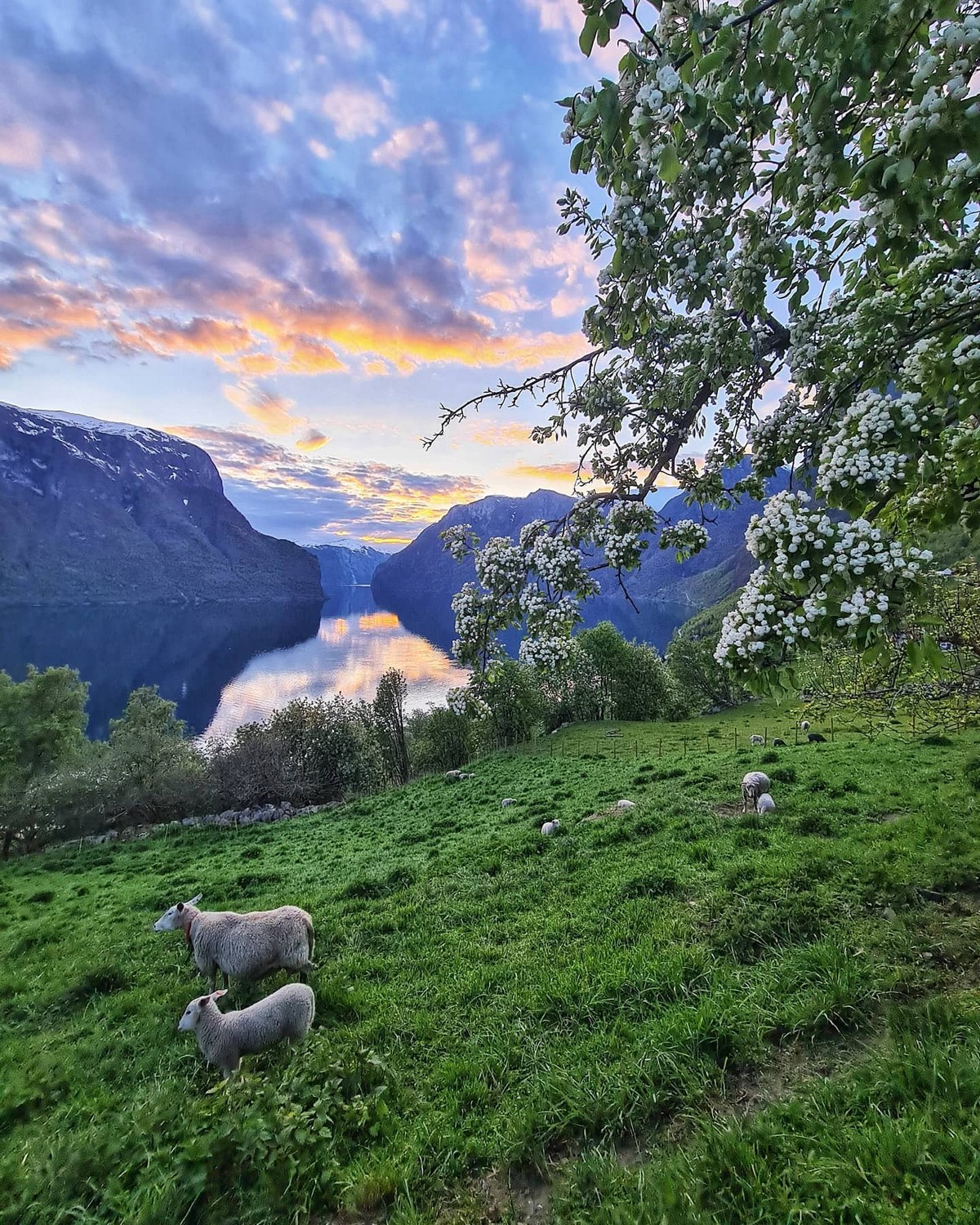 Удивительные норвежские просторы на снимках Оле Моена