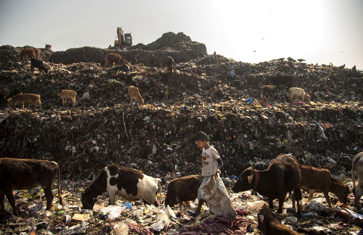 День из жизни индийского 10-летнего мусорщика на снимках