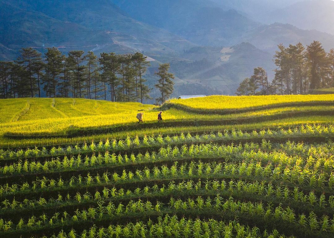 Красота Вьетнама на снимках с высоты от Пэма Хай Трунга