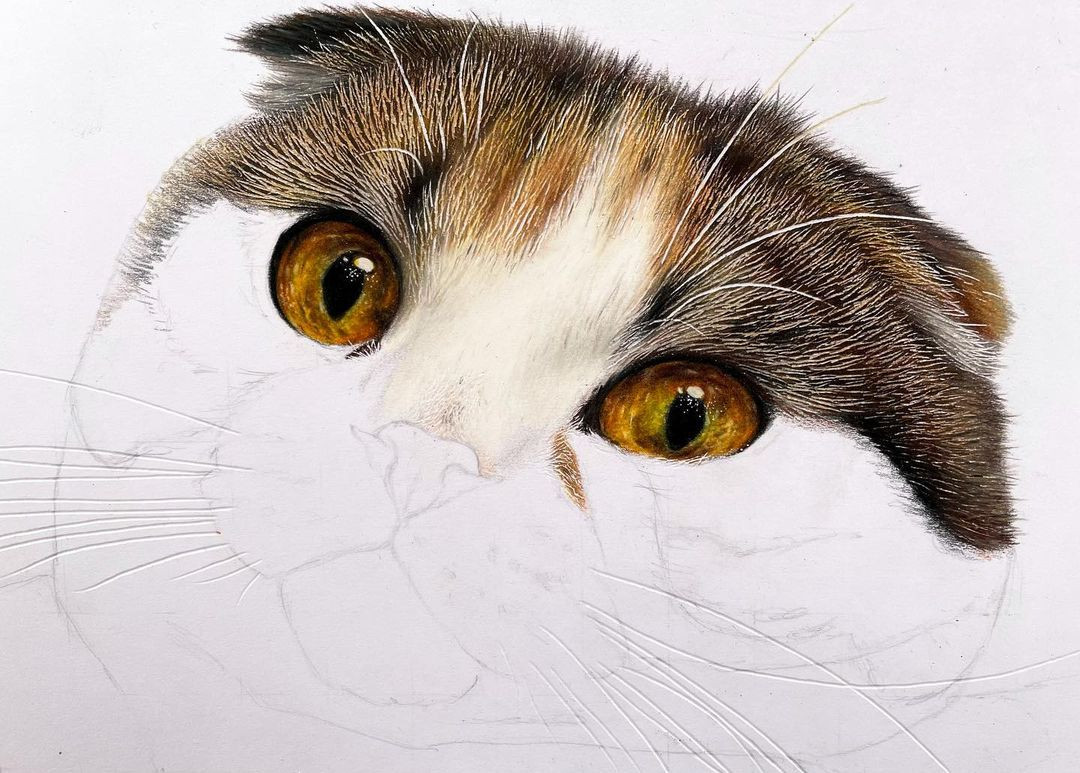 Невероятно реалистичные мордахи кошек от японского художника