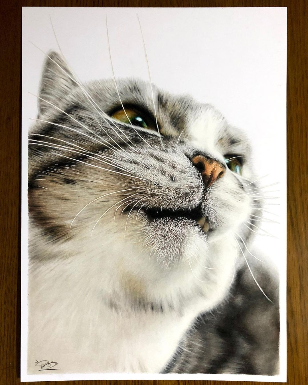 Невероятно реалистичные мордахи кошек от японского художника
