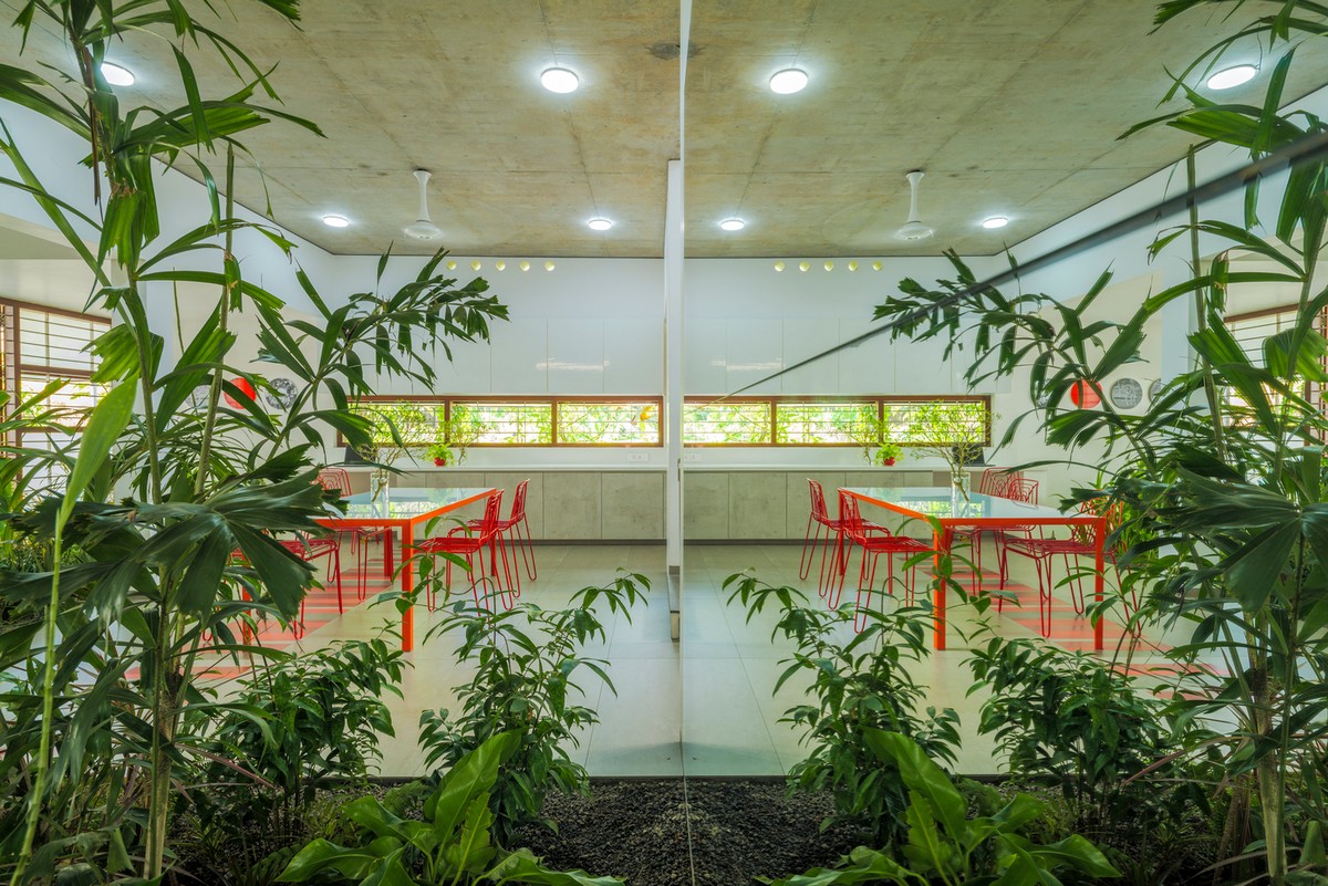 Роскошный дом с биофильным дизайном в Индии
