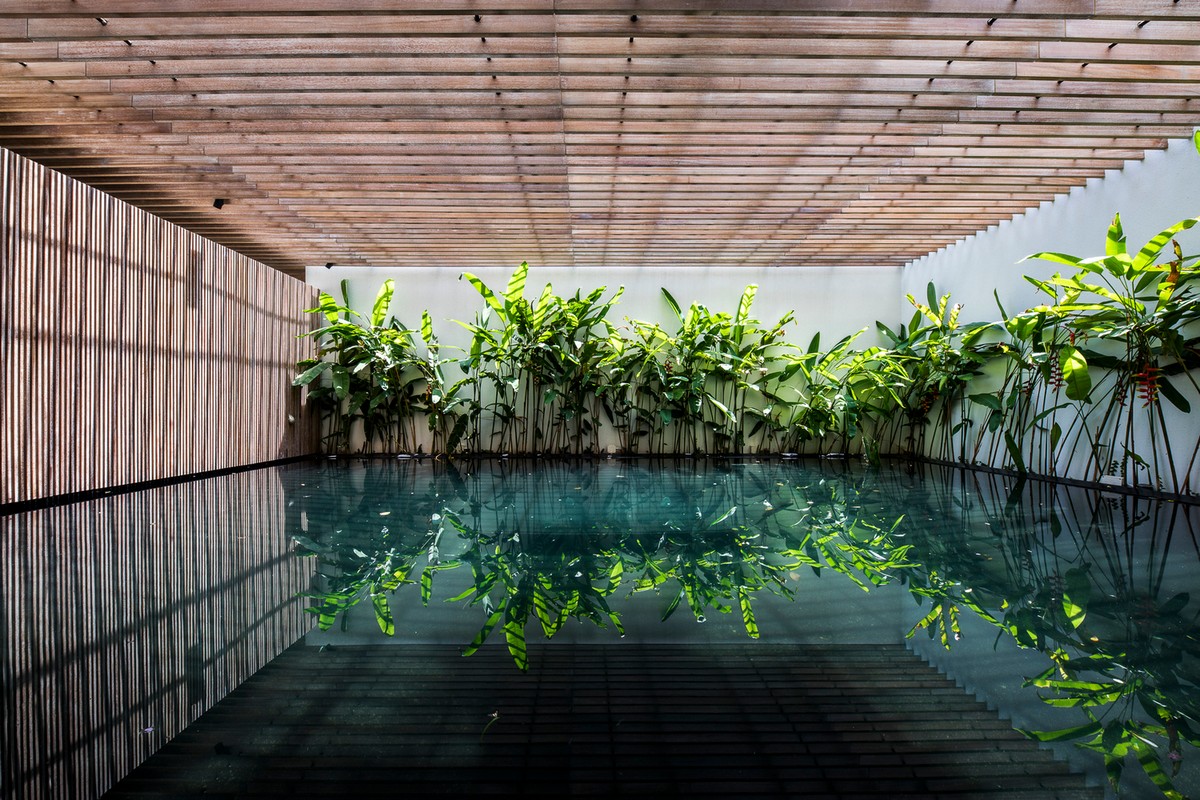 Дом в плотной застройке с садами и бассейном во Вьетнаме Картинки и фото