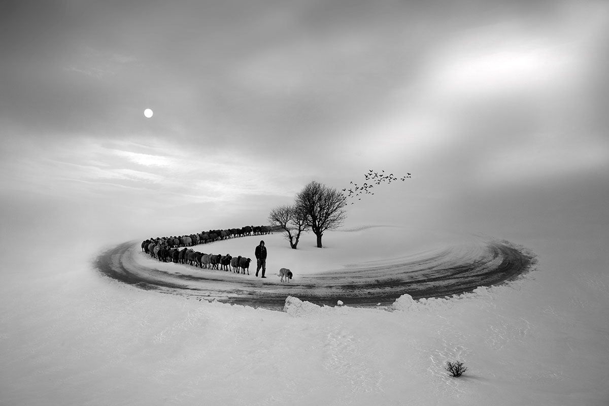 Сюрреалистические снежные фотоработы от Лейлы Эмектар