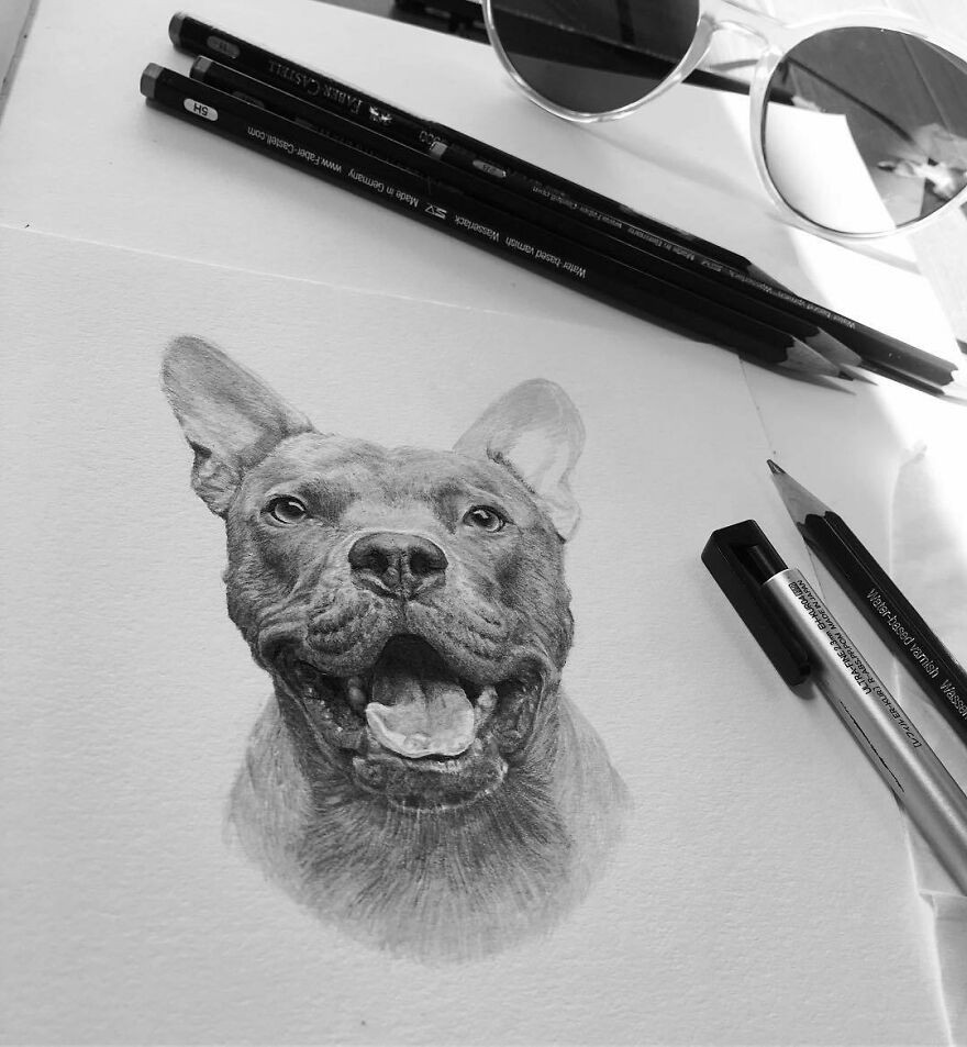 Гиперреалистичные карандашные портреты домашних животных