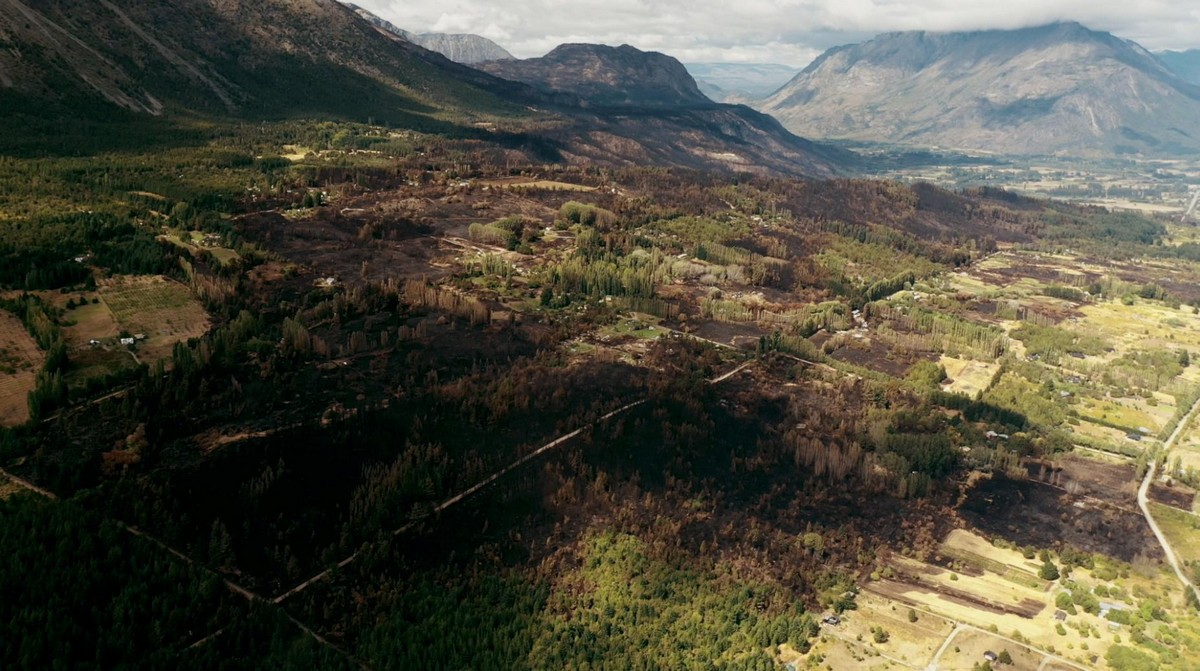 Лесные пожары уничтожили сотни домов в Аргентине