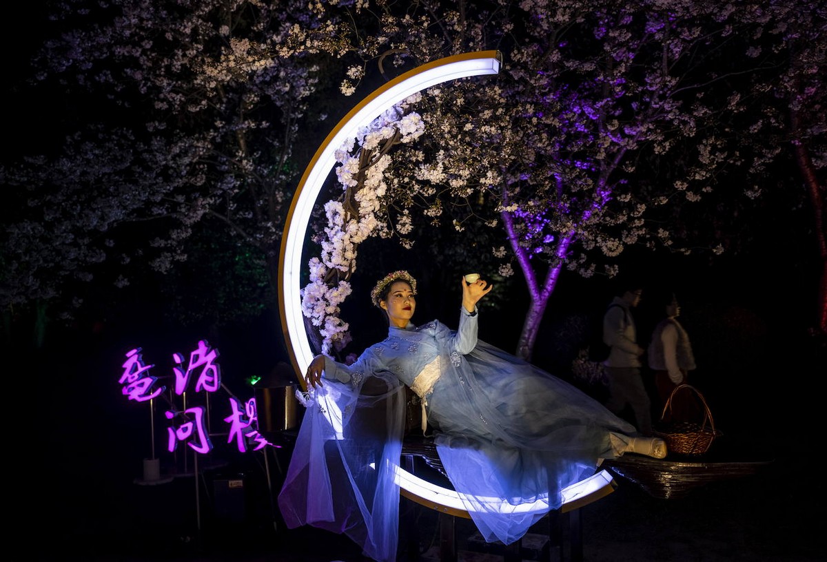 Фестиваль цветения сакуры в китайском городе Уси