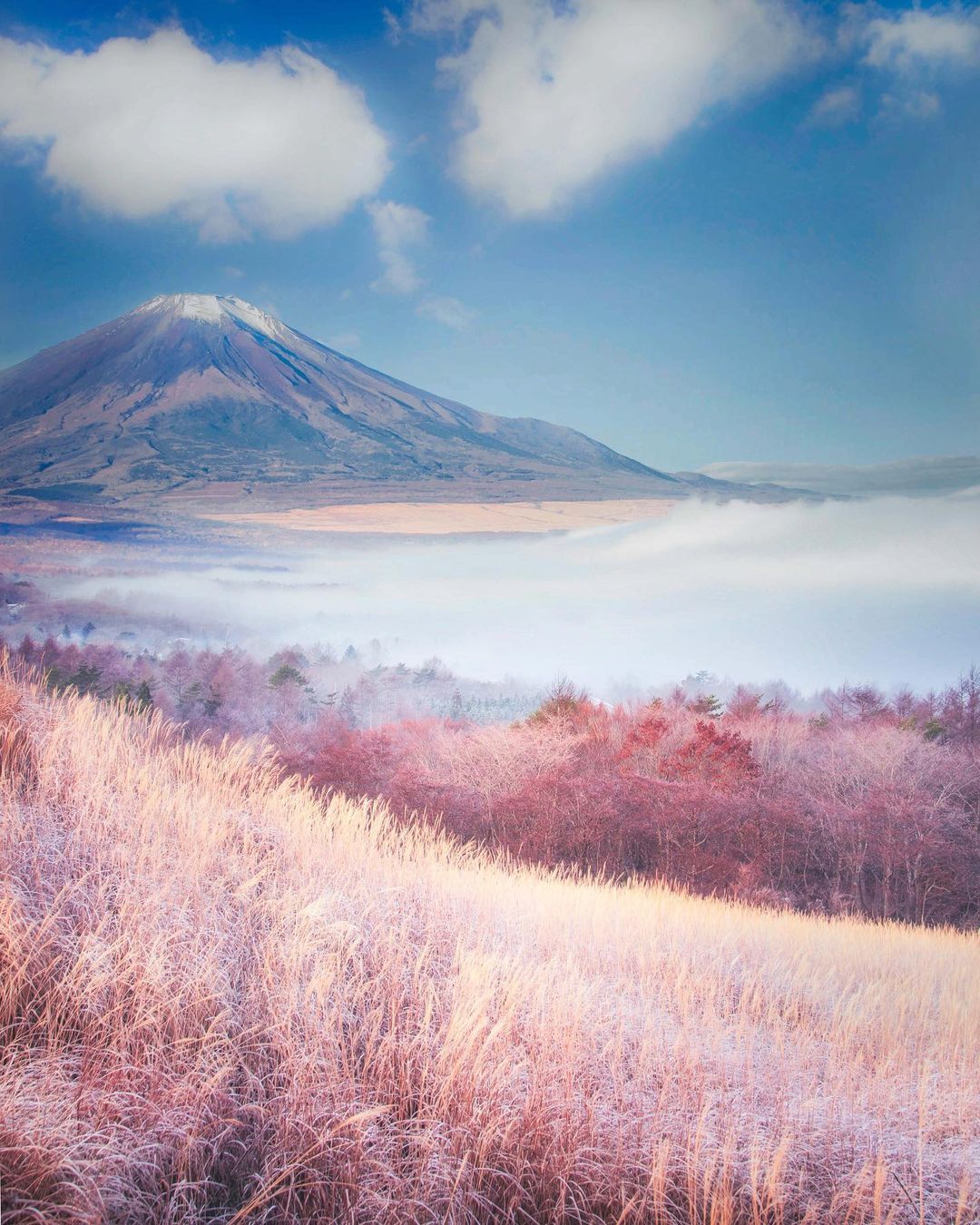 Яркие природные снимки Японии от Макико Самедзима