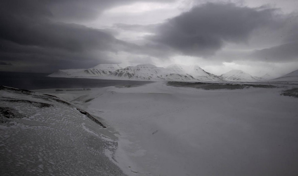 Снимки природы с архипелага Шпицберген от Микеля Арразолы