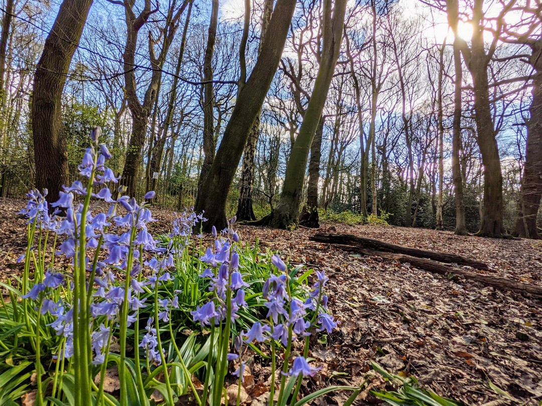 Красота природы на фотографиях