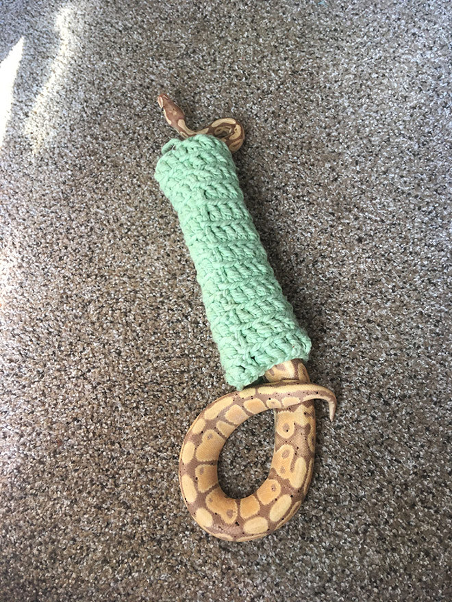 Змеи в вязаных свитерах на снимках