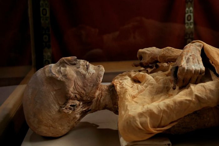Что происходит с организмом человека после 100 лет в гробу?