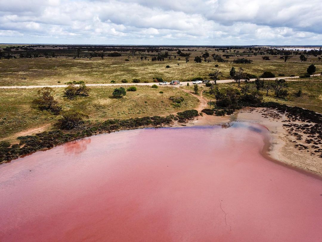 Очаровательное розовое озеро в Австралии, привлекающее туристов