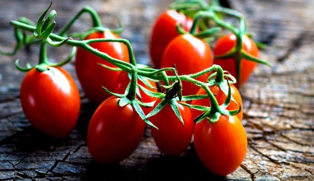 Почему по-русски томаты называются помидорами?