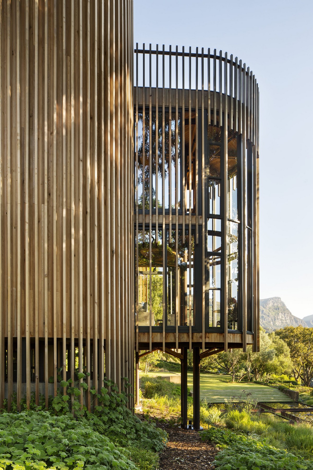 Современный дом на дереве в Кейптауне