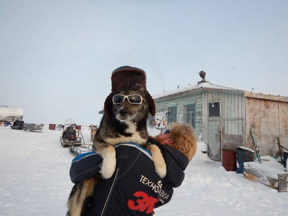 Подборка прикольных картинок