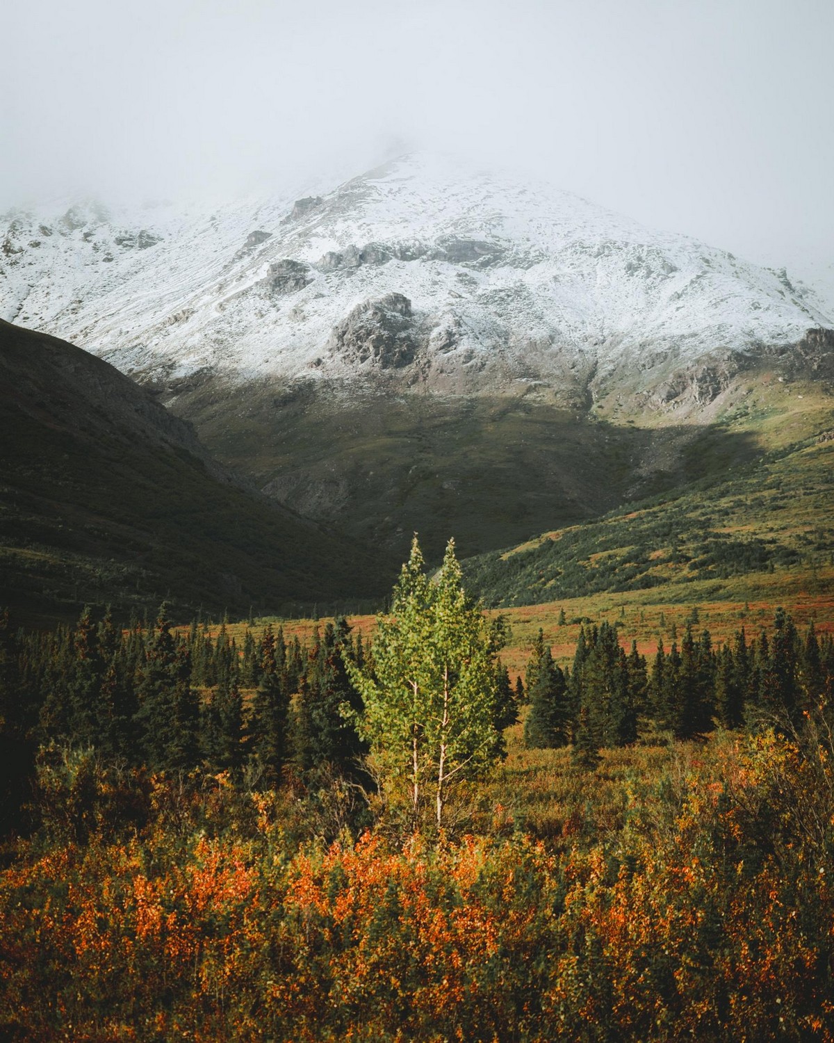 Природа Аляски на снимках Патрика Туна Природа