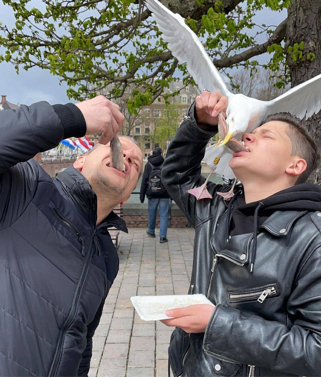 Подборка прикольных картинок