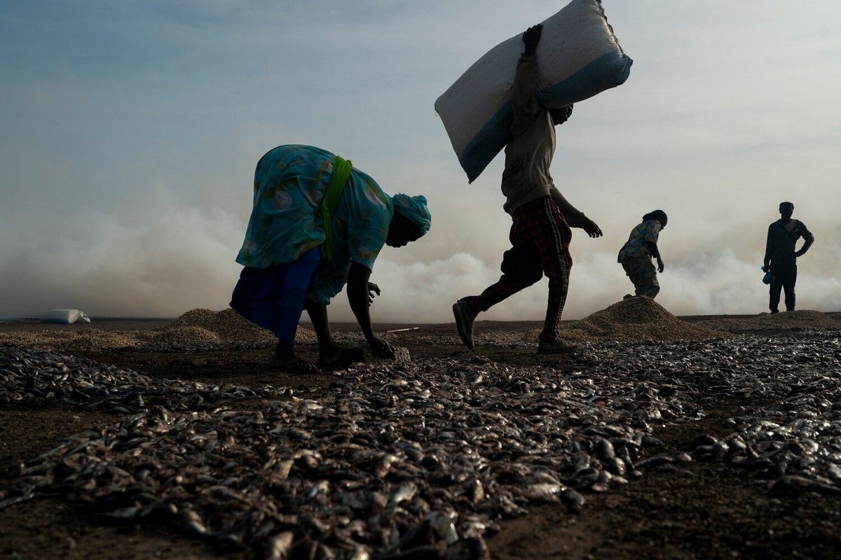 Сенегальские женщины находят новую надежду в рыбной ловле
