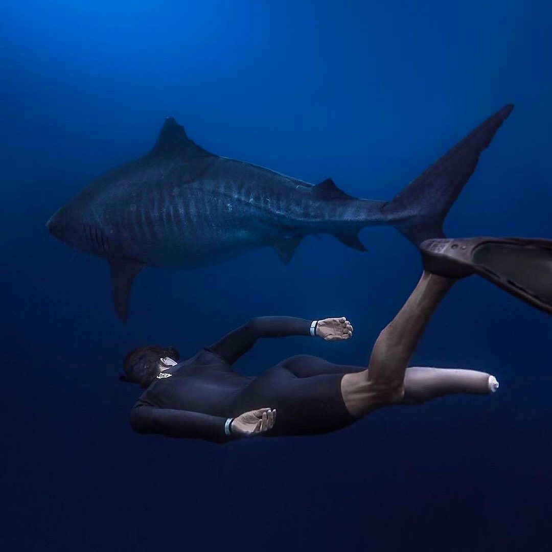 Впечатляющие подводные снимки от Хуана Олифанта