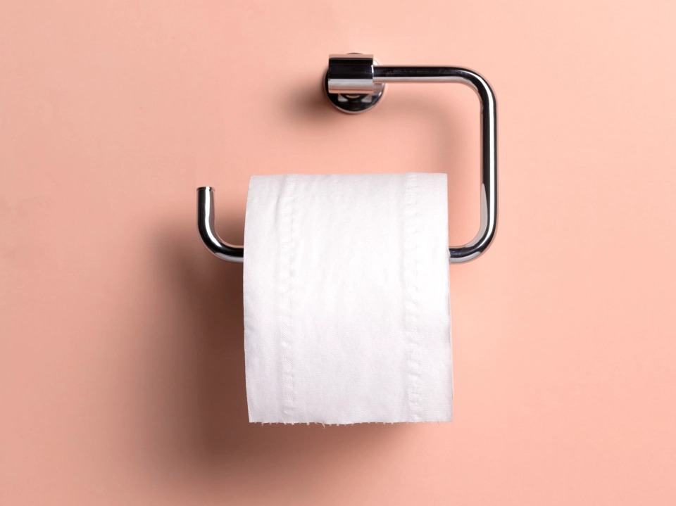 Ученые выяснили, сколько туалетной бумаги нужно расходовать за раз
