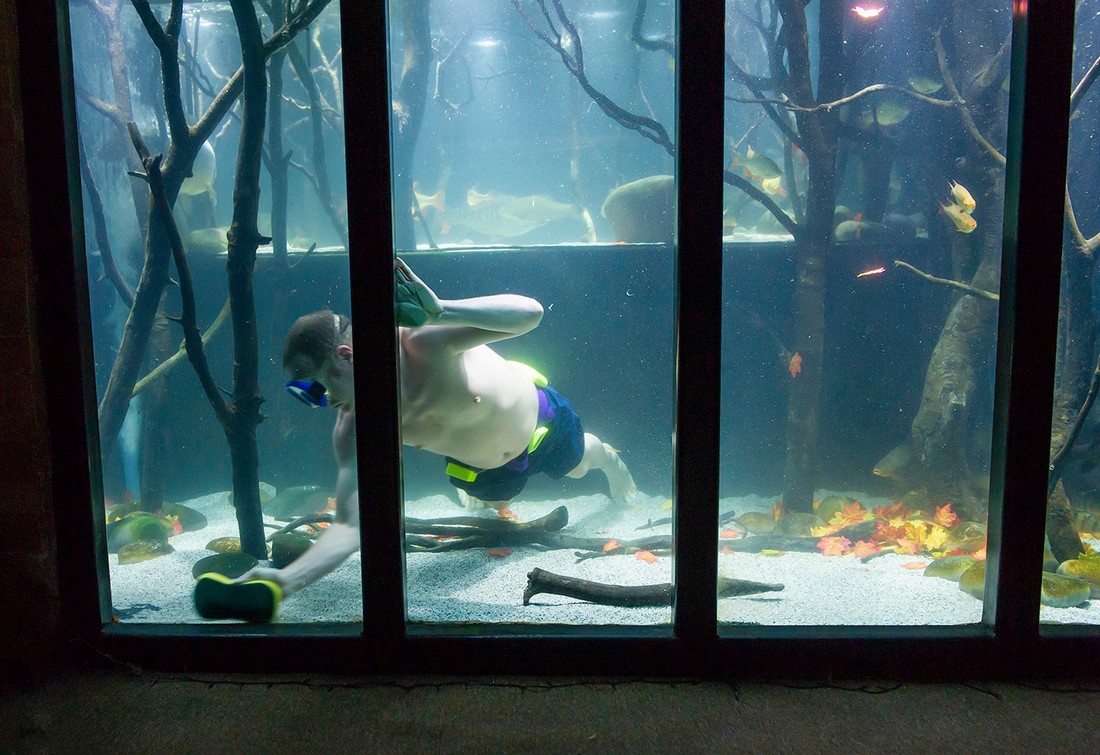 Британец ненавидит телевизор и превратил дом в гигантский аквариум 