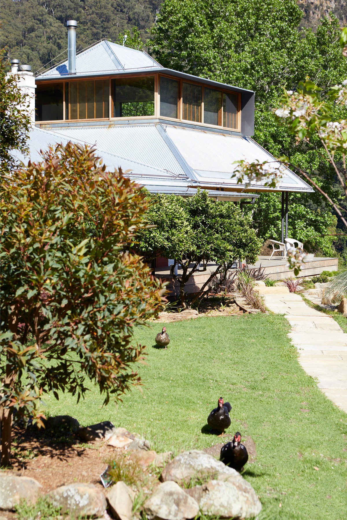 Дом в окружении идиллического пейзажа в Австралии проекта, которые, дизайн, здания, зелень, литров, места, Австралии, создают, участка, которых, являются, среди, ощущение, тысяч, идиллического, крыше, откосы, архитектурной, животных