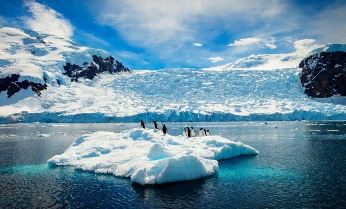 Что учёным удалось найти во льдах Антарктиды за 50 лет?